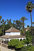 Spanien,Andalusien,Sevilla,Real Alcazar,maurischer Königspalast,Garten