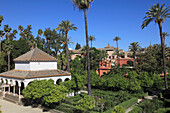 Spain,Andalusia,Seville,Real Alcazar,moorish royal palace,garden