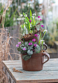 Pflanztopf mit Alpenveilchen (Cyclamen) und Schneeglöckchen (Galanthus) als Etagere auf Gartentisch