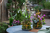 Schneeglöckchen (Galanthus) und Alpenveilchen (Cyclamen) dekoriert mit Zweigen und Moos als Gesteck in Kuchenform