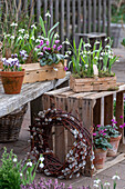 Pflanzgefäße mit Alpenveilchen (Cyclamen), Schneeglöckchen (Galanthus), Krokus (Crocus) und Kranz aus Palmkätzchen auf Terrasse dekoriert