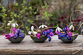 Alpenveilchen (Cyclamen), Schneeglöckchen (Galanthus) und Schwertlilie (Iris), einzelne Blüten als Deko in Schalen auf Terrassentisch