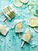 Gin and tonic ice lolly with lemon slices
