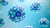 Adeno-associated virus, illustration