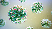 Adeno-associated virus, illustration