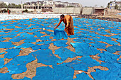 Tannery worker laying leather pieces, Dhaka, Bangladesh