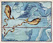 Constellation of Pisces, illustration