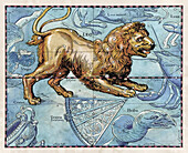 Constellation of Leo, illustration