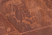 Rock carvings, Twyfelfontein, Namibia