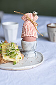 Knitted egg cozy on egg, marble egg cup and cheese bread with sprouts