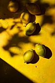 Lemons on a yellow background