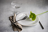 Minimalist table decoration with anthurium flower