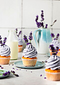 Lavender cupcakes