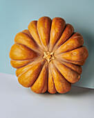 Nutmeg pumpkin against a blue background