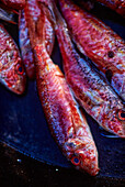 Raw red mullet