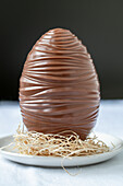 Large chocolate egg in a wood wool nest