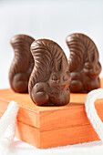 Milk chocolate squirrels