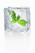 Ice cubes with enclosed basil