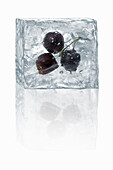 Ice cubes with enclosed blackcurrants