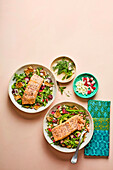 Sumac salmon with spring fattoush