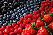 Blackberries, blueberries, raspberries and strawberries