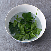 Bowl of fresh parsley in water