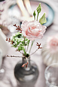 Delicate Easter arrangement with pink carnations (Dianthus) in a grey vase