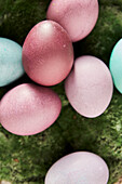 Colourful Easter eggs on green moss