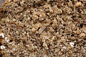 Bread with coarse meal and green spelt - close-up
