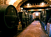 Wine cellar with large wooden barrels