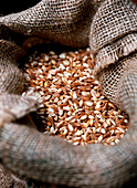 Sack of farro grains