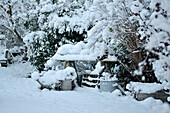 Snow-covered plant table in the conservatory