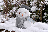 Schneemann mit grauem Schal, Topf und Winter-Holzschild