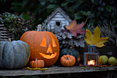 Pumpkin with candle and lantern on planting table in the garden