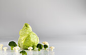 Green and white cabbage vegetables: pointed cabbage, cauliflower, broccoli
