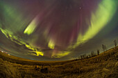 Fisheye image of Great Aurora Show, April 2023