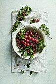 Bowl of red gooseberries and leaves