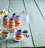 Blaubeer-Lavendel-Cupcakes