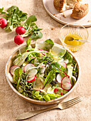 Spring salad with radishes and herbs