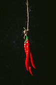 Fresh red chilli peppers on a string