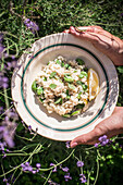 Risotto with broad beans and lemon