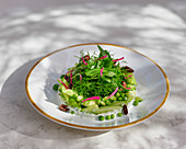 Cucumber salad with herbs, tzatziki and peas