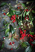 Stechpalme (Ilex) und Mistelzweige mit roten und weißen Beeren auf Metallplatte