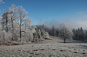 Winterliche Wiese und Waldrand mit Raureif