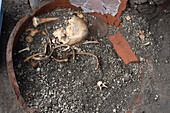 Human bones found in Pompeii, Italy