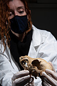 Archaeologist holding dog skull from Roman food bar, Pompeii, Italy