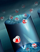 Nano water filter, conceptual illustration