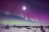 Auroral curtain in moonlight