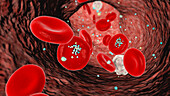 Erythrocytes with plastic microparticles, illustration