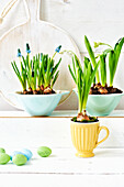 Spring flowers in cups and bowls on a white shelf